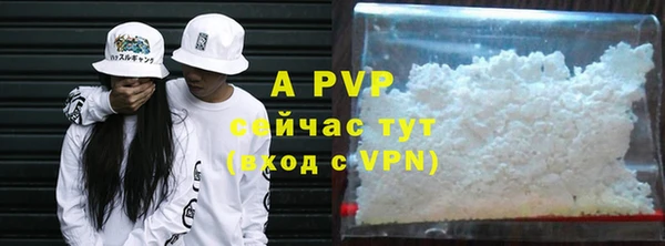 стафф Алексин