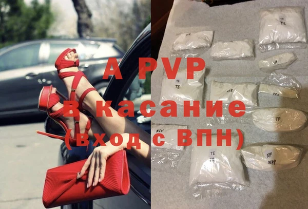 стафф Алексин