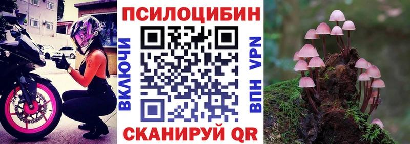 Псилоцибиновые грибы MAGIC MUSHROOMS  сайты даркнета какой сайт  Алушта  даркнет сайт 