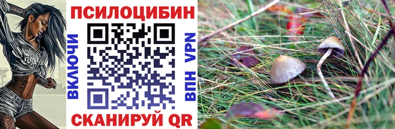 Галлюциногенные грибы Psilocybe Алушта